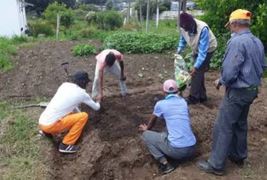 Fokus op amateur tuiniers en hulle tuine