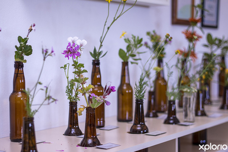 gansbaai_npo_pearly_beach_conservancy_display_of_fynbos_1638873956