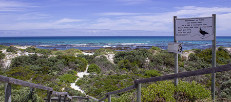 gansbaai_npo_pearly_beach_conservancy_bird_signs_1638871940_1638874157