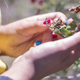 Nature Experience - Pearly Beach Conservancy - Xplorio™ Gansbaai