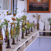 Flower Display - Pearly Beach Conservancy - Xplorio™ Gansbaai