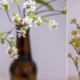 Flower Display - Pearly Beach Conservancy - Xplorio™ Gansbaai