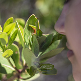 Explore Nature - Pearly Beach Conservancy - Xplorio™ Gansbaai