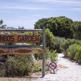 Fynbos Garden - Pearly Beach Conservancy - Xplorio™ Gansbaai
