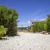 Herbarium - Pearly Beach Conservancy - Xplorio™ Gansbaai