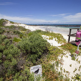Protected Beaches - Pearly Beach Conservancy - Xplorio™ Gansbaai