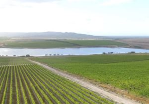 19 December 2021: Wine Walk at Lomond