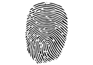 Criminal Record Checks Now Available!