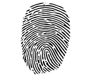 Criminal Record Checks Now Available!