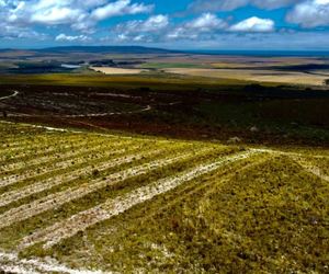 R9,850,000 | 422Ha Farm For Sale in Wolvengat