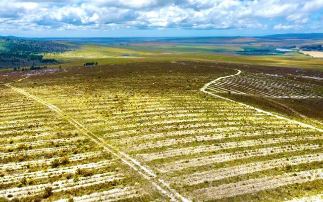 wortelgat_farm_1_1639396240