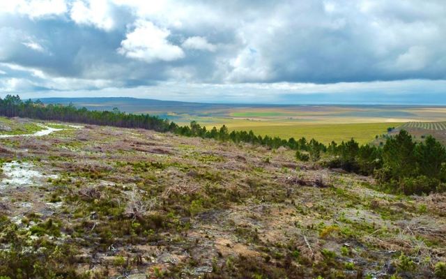 wortelgat_farm_4_1639396242