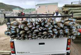 New Split Poles in Multiple Lengths