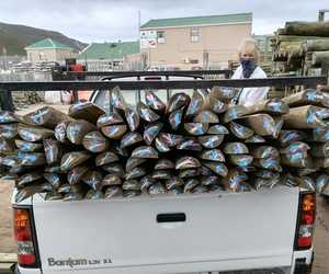 New Split Poles in Multiple Lengths