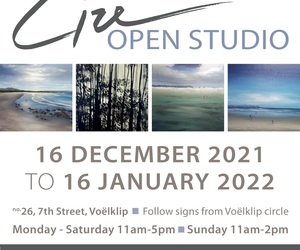 Lize Open Studio 16 December 2021 - 16 January 2022