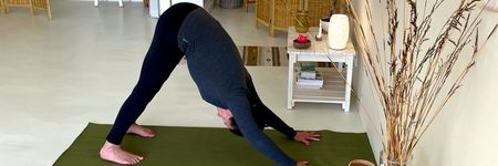 8132a871_722b_4321_b8d2_7e629182c3a6_1639576580