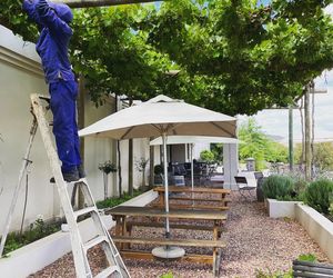 Raka's Shaded Wine Tasting Spot