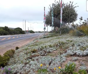 Repairs on the Spar Centre's 10-Zone Automated System