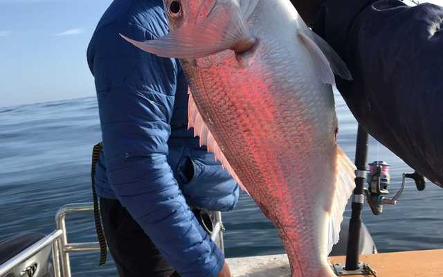 271243849_4555336504593203_6975603238759536530_n_1641285287