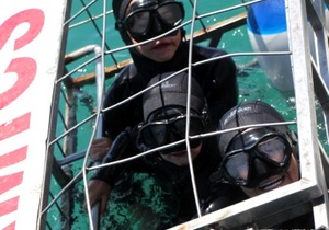 Daily Blog: 04 January 2022 | Shark Cage Diving in South Africa