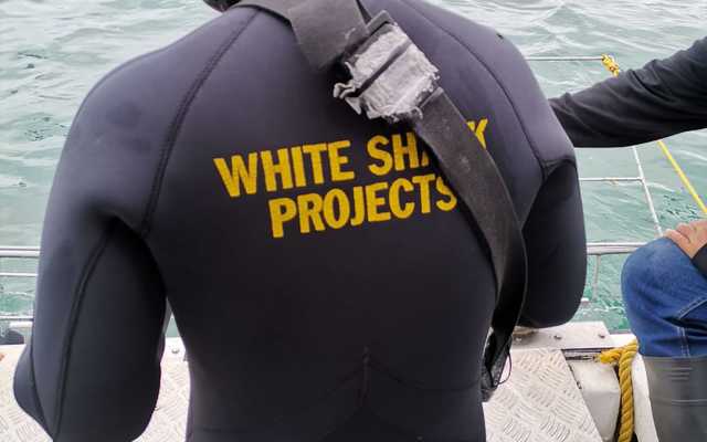 WhatsApp_Image_2022_01_06_at_08.39.00_2__1641455004