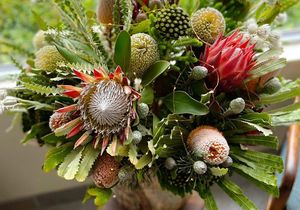 Fresh Blooms and Fynbos