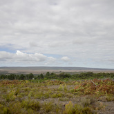 Cleanup Site - Fynbos Pole Depot Struisbaai - Xplorio™ Struisbaai