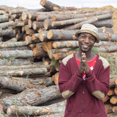 On Site Supervisor - Fynbos Pole Depot Struisbaai - Xplorio™ Struisbaai