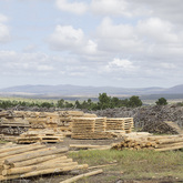 Poles - Fynbos Pole Depot Struisbaai - Xplorio™ Struisbaai