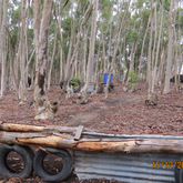 Paintball Field - Rivals Paintball - Xplorio™ Napier