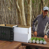 Paintball Set-up - Rivals Paintball - Xplorio™ Napier