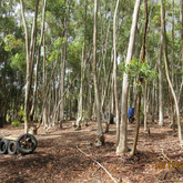 Paintball - Rivals Paintball - Xplorio™ Napier