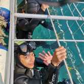 Shark Cage Diving - White Shark Projects - Xplorio™ Gansbaai