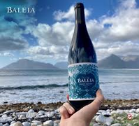Saturday | Sunday Weekend Tasting (Baleia Vinhos Rochas)