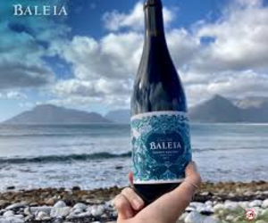 Saturday | Sunday Weekend Tasting (Baleia Vinhos Rochas)