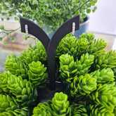 Earrings - Tanzanites and Diamonds of Hermanus - Xplorio™ Hermanus