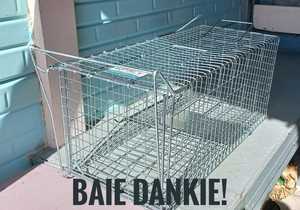 Cat Cage Donated by Mrs. Naude from De Kelders