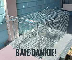 Cat Cage Donated by Mrs. Naude from De Kelders
