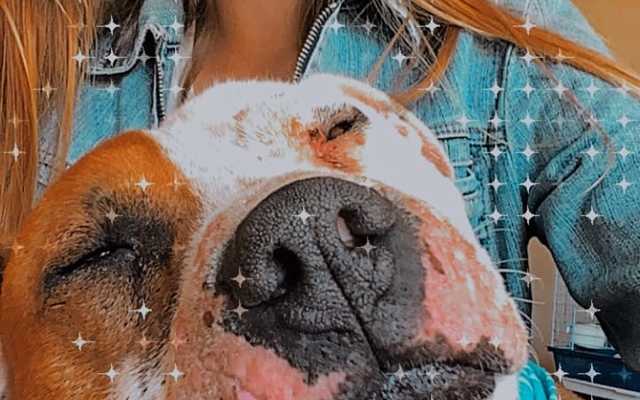 270004093_4402232016553601_1082688140155965733_n_1642148946