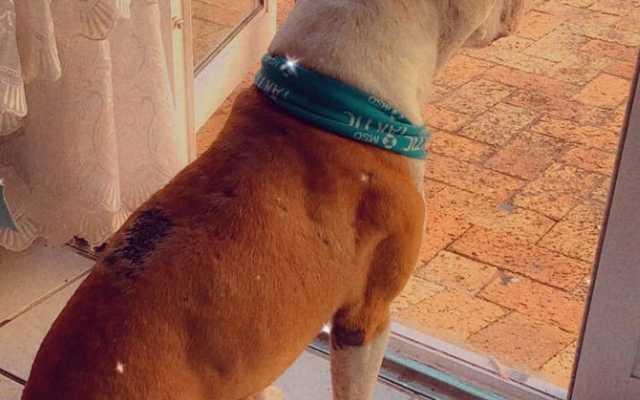 271553018_4402231766553626_8041410880432168645_n_1642148946