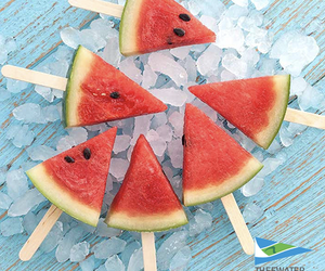 Healthy Camping Snacks