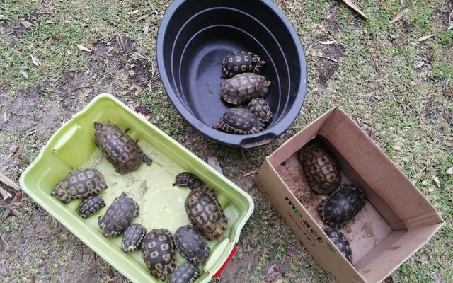 271849384_234915412149945_3224466774699722519_n_1642164399