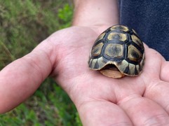 SHOUT OUT TO WILDLIFE VOLUNTEERS - THANK YOU