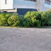 Arniston - Element Ecosystems - Xplorio™ L'Agulhas