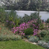 Fynbos - Element Ecosystems - Xplorio™ L'Agulhas