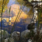 Natural Pool - Element Ecosystems - Xplorio™ L'Agulhas