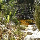 Natural Pool - Element Ecosystems - Xplorio™ L'Agulhas