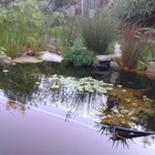 Natural Pool - Element Ecosystems - Xplorio™ L'Agulhas