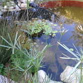 Natural Pool - Element Ecosystems - Xplorio™ L'Agulhas