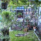 Bredasdorp - Element Ecosystems - Xplorio™ L'Agulhas